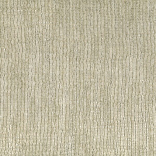 CALAFATE-16_Main image